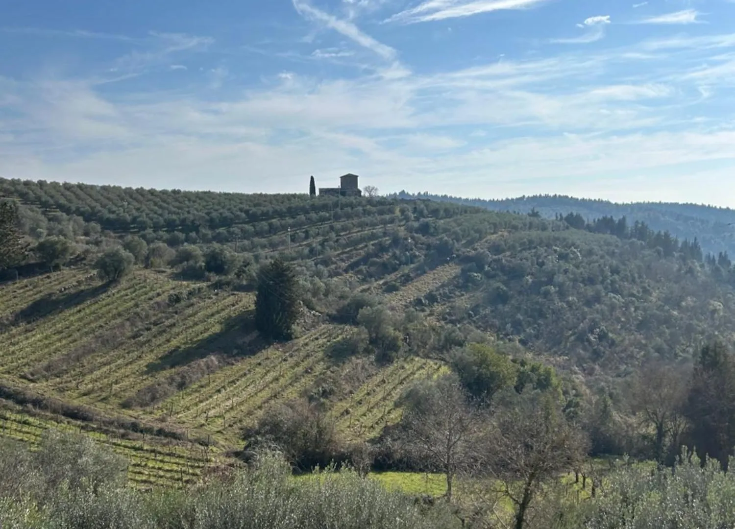 La Villetta Nel Chianti Monsanto Holiday home